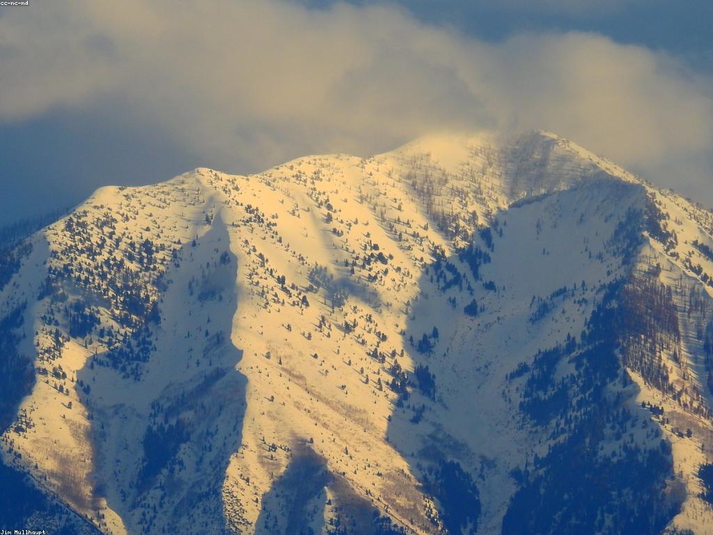 ការស្វែងរកទេសភាពបាញ់ដែលគួរអោយចាប់អារម្មណ៍