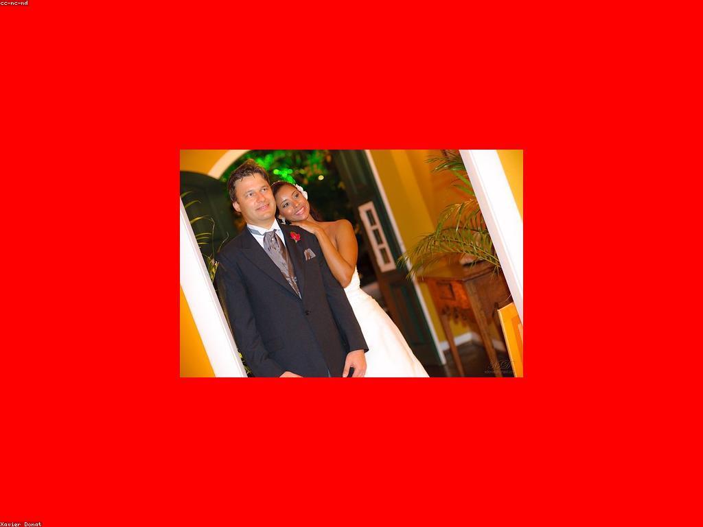 គន្លឹះការបាញ់: ដំណើរការណែនាំសម្រាប់អ្នកចាប់ផ្តើម