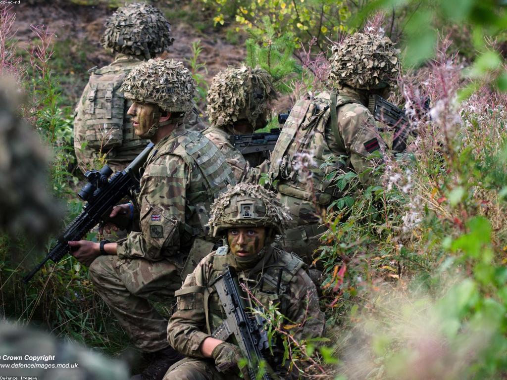 ឧបករណ៍បាញ់: ជំនួយថ្មីសម្រាប់អ្នកប្រើប្រាស់